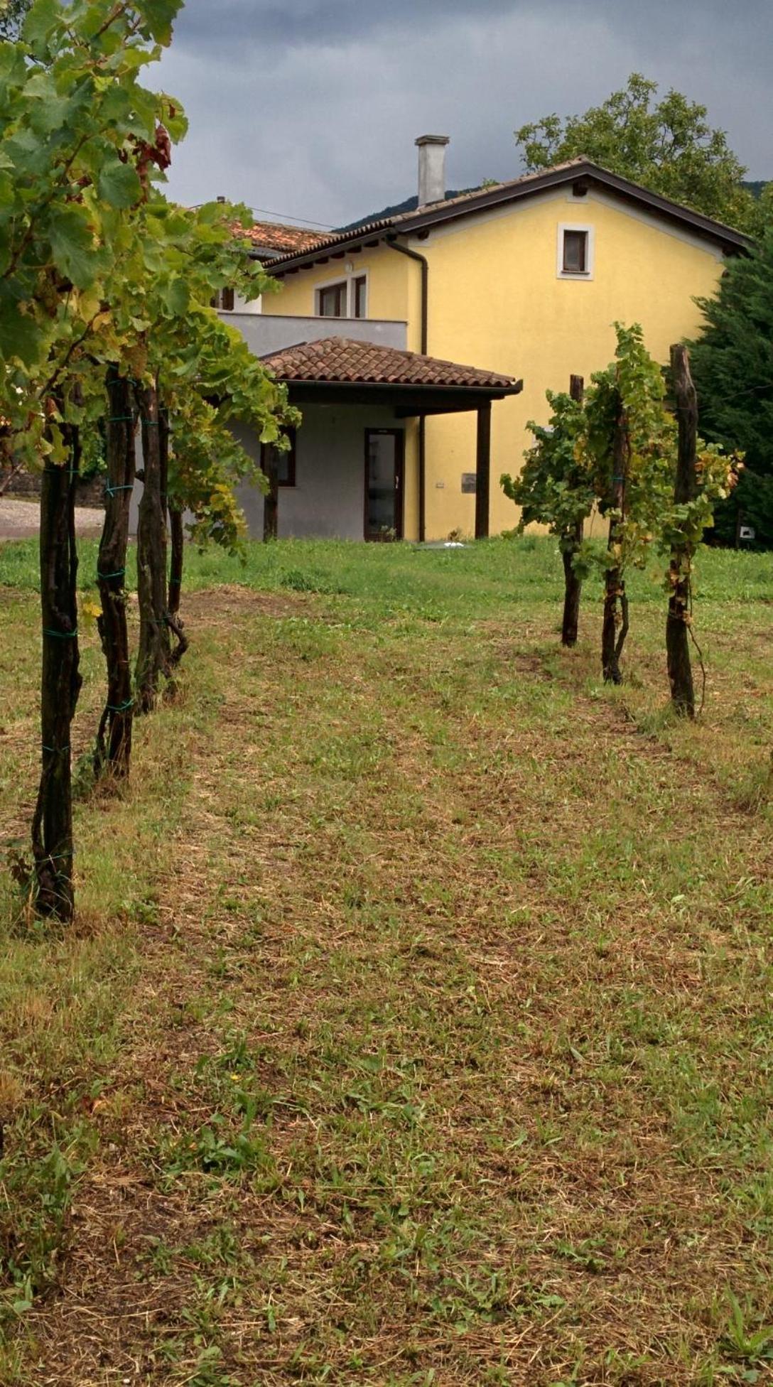 Small House In Vipava Valley Exterior photo